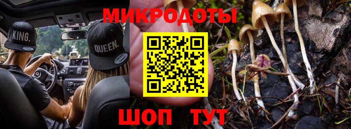Тавда  Псилоцибиновые грибы прущие грибы  Псилоцибиновые грибы прущие грибы  Вход с VPN 