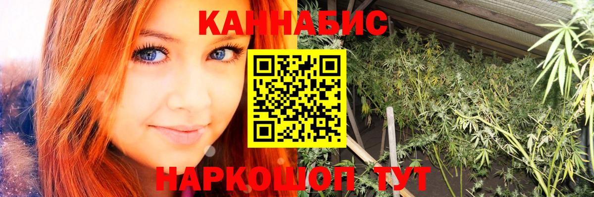 Конопля план  Вход с VPN  Каннабис сатива  Конопля план  Марихуана индика  Тавда 